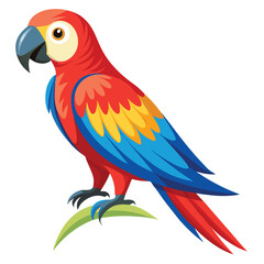 Parrot isolated on white background