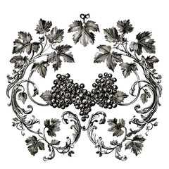 Vineyard Elegance: An artistic, botanical illustration of ripe grapes and lush leaves, evoking the timeless beauty and bounty of a vineyard.