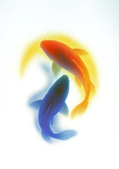 Obraz premium PNG Impression two koi-fishes silhouette illustration vibrant symbolism.