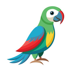 Parrot isolated on white background