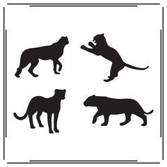 Snow Leopard silhouette, Snow Leopard illustration , Snow Leopard clipart, Snow Leopard vector , Snow Leopard icon , black Snow Leopard , Snow Leopard illustration on white background, 