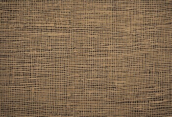 Natural Light Brown Wood Grain Texture for Rustic and Organic Designs