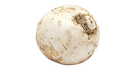 Fototapeta premium Fresh White Turnip with Transparent Background for High-Quality Food Illustrations and Designs
