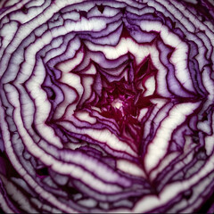 Obraz premium Extreme close-up of a sliced red cabbage, showcasing its mesmerizing natural purple and white patterns in vivid detail. Intricate layers and textures in a bold organic display. Digitally created.