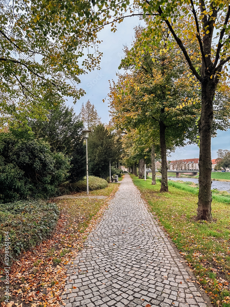Wall mural path with trees and a bench is shown