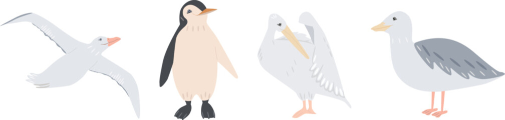 Sea birds set. Cute smiling animals, penguin, albatross, pelican, seagull. Vector hand drawn illustration. 