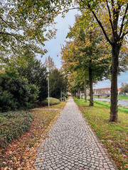Obraz premium Path with trees and a bench is shown