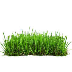 Fototapeta premium lush patch of vibrant green grass, freshly cut and neatly arranged, evokes sense of freshness and natural beauty. blades stand upright, showcasing their healthy growth