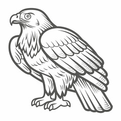 Red-Tailed Hawk Illustration Outline Vector