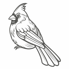 Cardinal Bird Outline Illustration, Vector Graphic