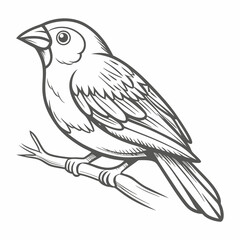 Red-Billed Quelea Bird Line Art Illustration