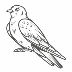 Fototapeta premium Purple Martin Bird Line Art Illustration