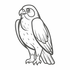 Peregrine Falcon Outline Vector Illustration