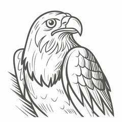 Osprey Bird Line Art Illustration Vector