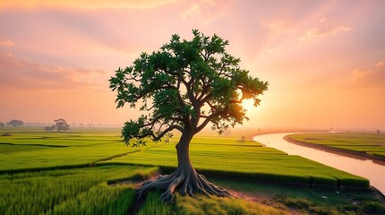 Obraz premium Best Nature Image: Stunning Visuals of the Natural World