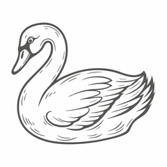 Elegant Mute Swan Illustration, Vector Graphic