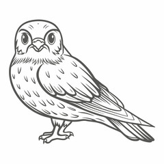 Merlin Bird Outline Illustration, Vector Image