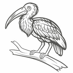 Limpkin Bird Outline Illustration on Branch