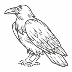 Detailed Line Art of a Bird of Prey