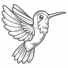 Hummingbird Illustration, Line Art, Flying Bird