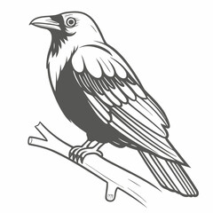 Jackdaw Bird Perched on Branch Vector Illustration