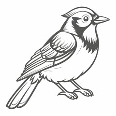 Green Jay Line Art Illustration Vector