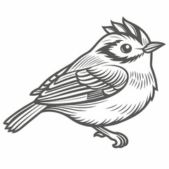 Golden-crowned Kinglet Bird Line Art Illustration
