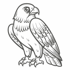 Peregrine Falcon Outline Illustration, Vector Graphic