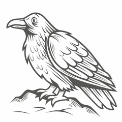 Detailed Raven Illustration, Bird Perched