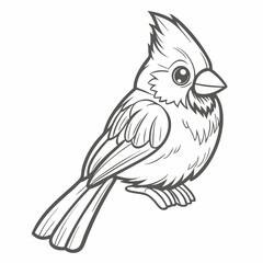 Northern Cardinal Line Art Illustration, Bird Outline