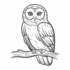 Barred Owl Line Art Perched on Branch