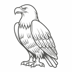Line Art Bald Eagle Illustration, Vector Graphic