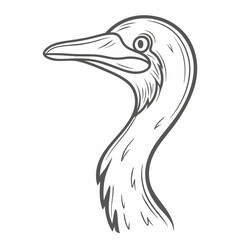 Anhinga Bird Line Art Illustration