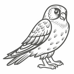 Fototapeta premium American Kestrel Line Art Illustration Vector