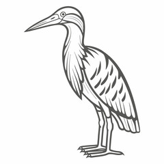 American Bittern Line Art Illustration
