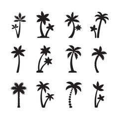 Fototapeta premium Natural Palm Tree Illustrations in Various Shapes and Forms