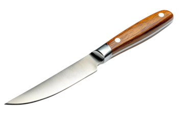 A sleek, elegant steak knife with a rich, warm wood handle gleaming against a bright white background.