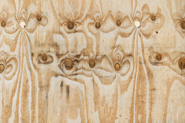 Natural Plywood Sheet with Visible Wood Grain and Knot Texture Pattern