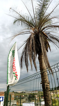 Flag with MartMians supermarket brand and coconut tree on the entrance of Itabira
city branch. March, 21,  2025. Itabira, Minas Gerais, Brazil.