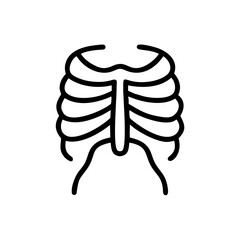 ribs