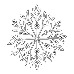 Delicate hand-drawn snowflake illustration featuring organic and floral inspired motifs