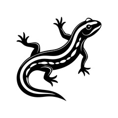 Salamander silhouette vector