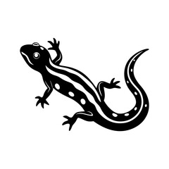 Salamander silhouette vector