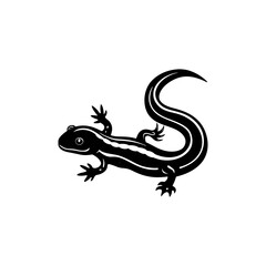 Salamander silhouette vector