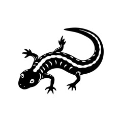 Salamander silhouette vector