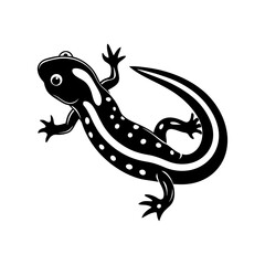 Salamander silhouette vector