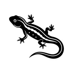 Salamander silhouette vector
