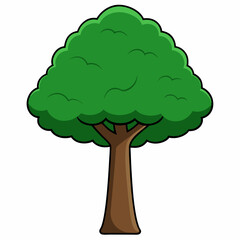 green tree isolated on white