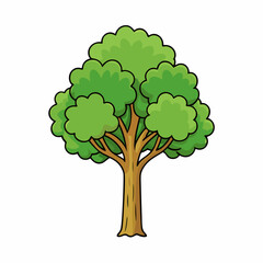 green tree isolated on white