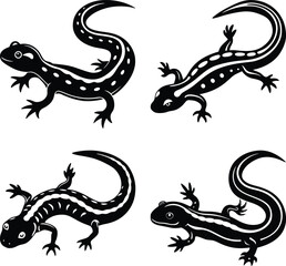 Salamander silhouette vector